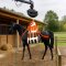 Harnais de levage et de récupération pour chevaux et bovins