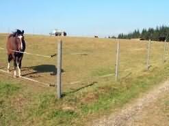 Poteau rond HANIT avec armature stable en plastique recyclé 2m L 80cm dépaisseur brun