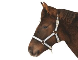 KERBL Licol exclusif pour poulain / mini settery réglable 3 positions argenté