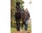 BAREFOOT Rênes longues 6m