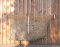 CG Filet à foin L - 1,5M x 1M - couleur chanvre - pour env. 12 kg - MW 45 mm