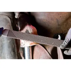 Rabot pour maréchaux-ferrants de PFERD 350 mm - Outil original PFERD pour le travail du sabot