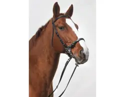 STARBRIDLE Loriginal cuir marron demi-sang avec gourmette