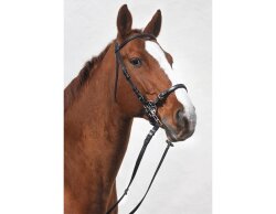 STARBRIDLE complet avec tête Zeug Pony brun