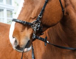 STARBRIDLE complet avec têtière poney noir