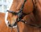 STARBRIDLE complet avec têtière poney noir