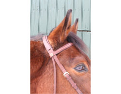 CG HEUNETZE Bandeau Starbridle taille pur-sang marron