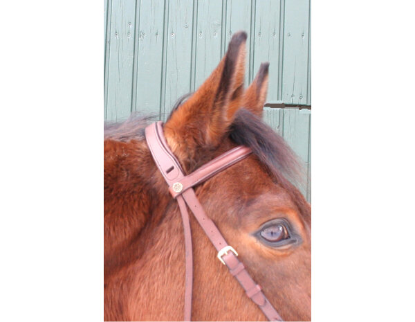 CG HEUNETZE Bandeau Starbridle Taille Pur-sang London