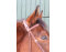 CG HEUNETZE Bandeau Starbridle Taille Pur-sang London