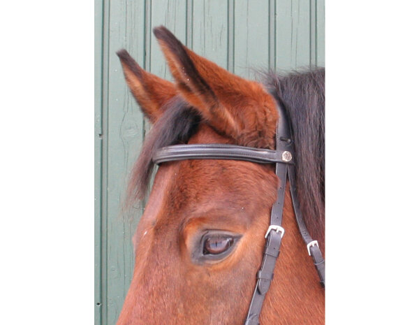 CG HEUNETZE Bandeau Starbridle taille pur-sang noir