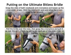 UBB Classic Nylon poney brun