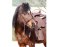 Bridon sans mors BAREFOOT Walnut (fonction croisée) poney marron
