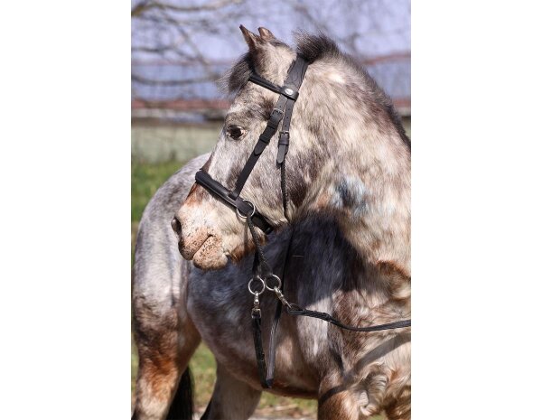 Bridon sans mors BAREFOOT Walnut (fonction croisée) poney noir