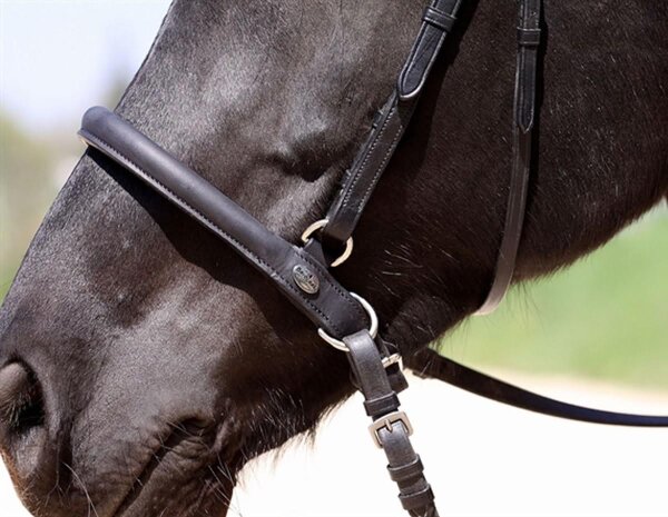 Muserolle Shape-It Barefoot pour le travail à cheval ou au sol