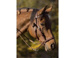 Bride sans mors WESTERN STYLE - Original Dr. Cook en trois couleurs
