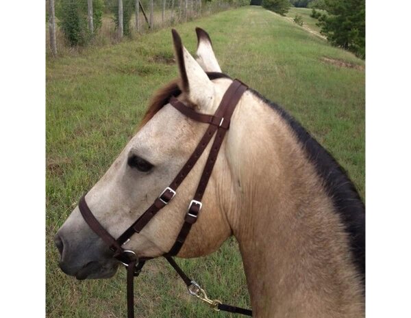 BITLESS BRIDLE nylon petit marron
