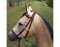 BITLESS BRIDLE nylon petit marron