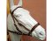 BITLESS BRIDLE nylon petit marron