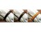 BITLESS BRIDLE Dr. R. Cook Premium cob marron