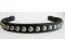 BITLESS BRIDLE Western Style natural Full