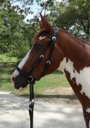 BITLESS BRIDLE Western Style black Extra Full