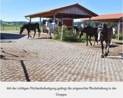 TTE MultiDrain-Plus 2000 0 32 m² losange picots gris...