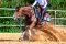 TTE MultiDrain-Plus 2000 0 32 m² losange picots gris (ca. 8,7kg) Place de reining