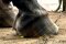 Huf Check up-Geschenk